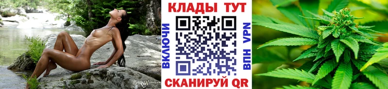 Купить наркотики сайты Приозерск Cocaine  Alpha PVP  МАРИХУАНА  Меф 