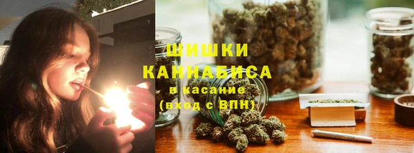 ПСИЛОЦИБИНОВЫЕ ГРИБЫ Аркадак