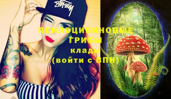 ПСИЛОЦИБИНОВЫЕ ГРИБЫ Аркадак