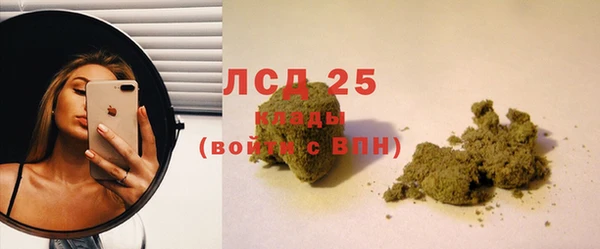 ПСИЛОЦИБИНОВЫЕ ГРИБЫ Аркадак